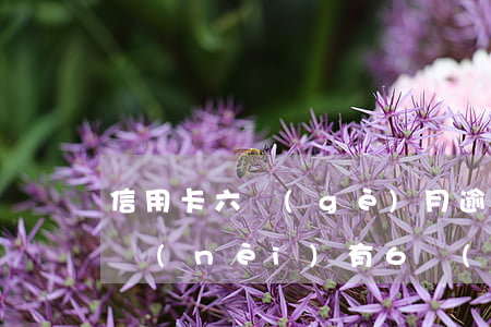 信用卡六個(gè)月逾期(信用卡最近五年內(nèi)有6個(gè)月處于逾期)