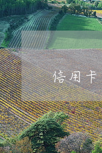 信用卡六個月未用后果