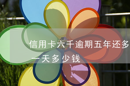 信用卡六千逾期五年还多少(信用卡6千逾期一天多少钱)