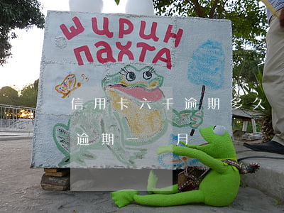 信用卡六千逾期多久會上門討(信用卡6萬多逾期一個月)