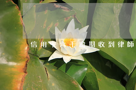 信用卡六千逾期收到律師短信