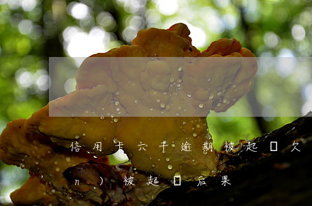 信用卡六千逾期被起訴(欠信用卡6萬(wàn)被起訴后果)