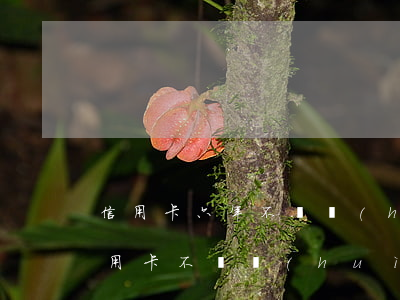 信用卡六年不還會(huì)被通緝嗎(欠信用卡不還會(huì)被通緝嗎)