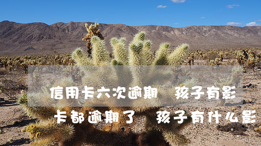 信用卡六次逾期對孩子有影響嗎 兩口子信用卡都逾期了對孩子有什么影響