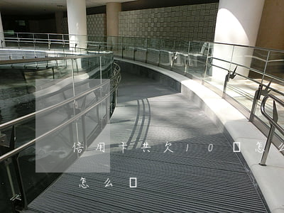 信用卡共欠10萬怎么辦(信用卡共欠10萬怎么辦)