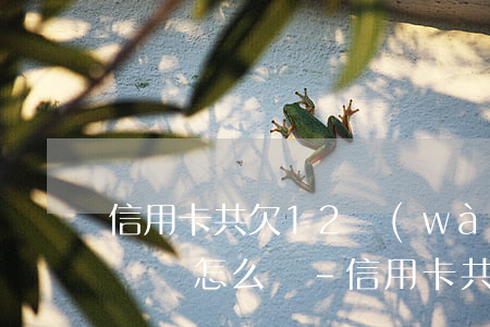 信用卡共欠12萬(wàn)無(wú)力償還怎么辦-信用卡共欠12萬(wàn)無(wú)力償還怎么辦呢