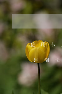 信用卡共欠3萬 信用卡共欠3萬,建議分期還是倒卡