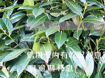 信用卡内有收取利息算逾期吗 信用卡 逾期罚息 逾期利息