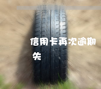 信用卡再次逾期還不上(信用卡逾期太久還款失敗)