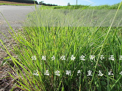 信用卡准备逾期不还(因为出了事导致信用卡没还逾期严重怎么办)
