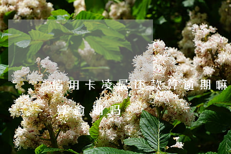 信用卡凌晨还款算逾期嘛(还信用卡晚了两天算逾期吗)