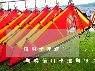 信用卡凍結(jié)了還會(huì)逾期嗎(信用卡逾期很久還清之后銀行卡被凍結(jié))