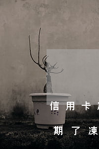 信用卡凍結(jié)后再次逾期(信用卡逾期了凍結(jié)了,多久會解凍)