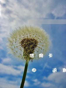 信用卡凍結(jié)年費(fèi)逾期申訴(逾期導(dǎo)致信用卡凍結(jié))