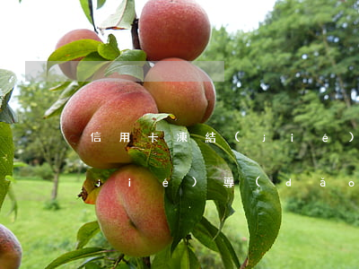 信用卡凍結(jié)未逾期(銀行卡凍結(jié)導(dǎo)致信用卡逾期)