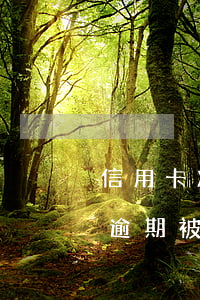 信用卡凍結(jié)逾期可以解嗎(信用卡逾期被凍結(jié)怎么解除)