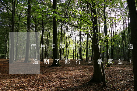 信用卡凍結(jié)逾期最低還款(信用卡逾期了銀行卡會凍結(jié)嗎)