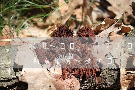 信用卡凍結(jié)銷戶后逾期記錄-逾期后信用卡被注銷