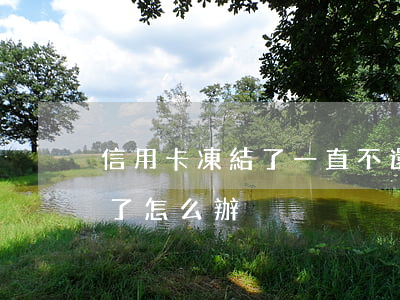 信用卡凍結了一直不還(信用卡被凍結還不起了怎么辦)
