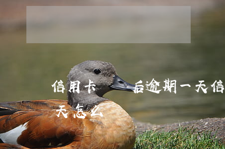 信用卡凍結后逾期一天(信用卡凍結后逾期一天怎么辦)