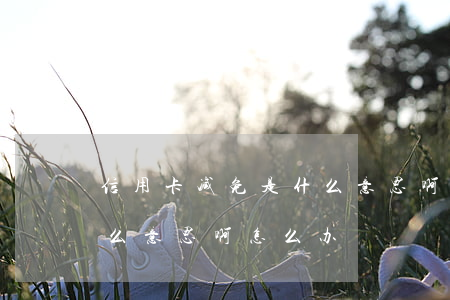 信用卡减免是什么意思啊-信用卡减免是什么意思啊怎么办