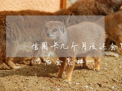 信用卡几个月没还会怎么样(信用卡三月没还以后会怎样)