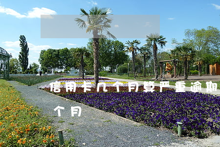 信用卡几个月算严重逾期(信用卡最多逾期几个月)