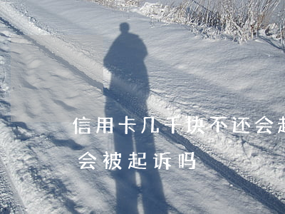 信用卡几千块不还会起诉(信用卡欠几百块钱会被起诉吗)
