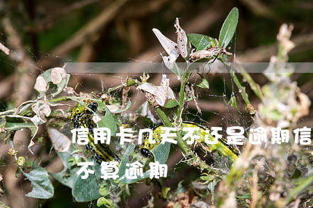 信用卡几天不还是逾期(信用卡到期几天内还不算逾期)