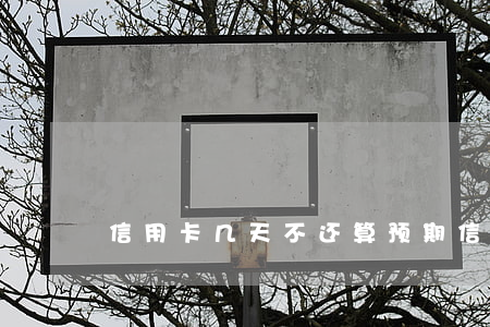 信用卡几天不还算预期(信用卡预期俩天)