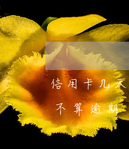 信用卡几天没还算逾期嘛(信用卡两天没还算不算逾期)