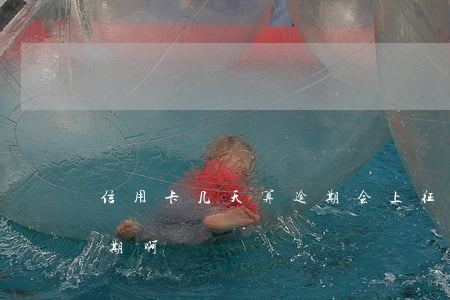 信用卡几天算逾期会上征信（信用卡几天算逾期啊）