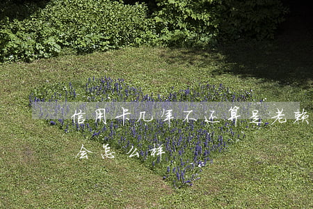 信用卡几年不还算是老赖(欠信用卡几年不还会怎么样)