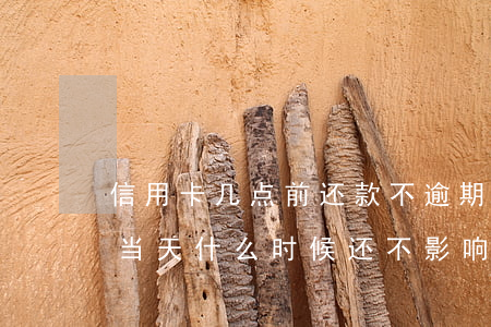 信用卡几点前还款不逾期(信用卡还款日最迟当天什么时候还不影响?)