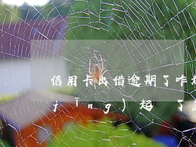 信用卡出借逾期了咋起訴(信用卡逾期已經(jīng)起訴了怎么辦)