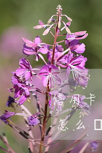 信用卡出現(xiàn)一個(gè)逾期怎么辦 征信有一個(gè)信用卡逾期怎么辦