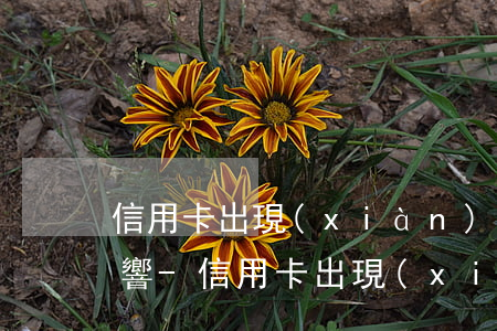 信用卡出現(xiàn)一次逾期有哪些影響-信用卡出現(xiàn)一次逾期有哪些影響呢