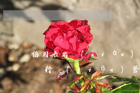 信用卡出現(xiàn)惡意透支提醒(收到銀行監(jiān)管信用卡惡意透支的提醒短信)