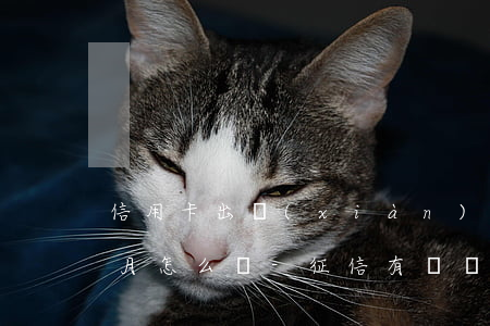 信用卡出現(xiàn)逾期3個(gè)月怎么辦-征信有連續(xù)三個(gè)月逾期可以辦信用卡么