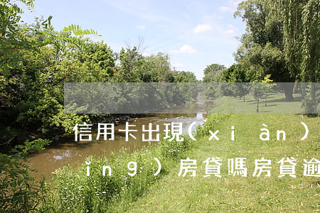 信用卡出現(xiàn)逾期可以申請(qǐng)房貸嗎(房貸逾期了還能辦理信用卡嗎)