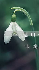 信用卡出現(xiàn)逾期怎么解決(信用卡逾期是怎么回事)