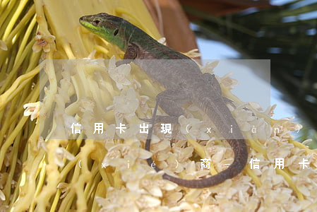 信用卡出現(xiàn)逾期怎么跟銀行協(xié)商-信用卡出現(xiàn)逾期怎么跟銀行協(xié)商還款