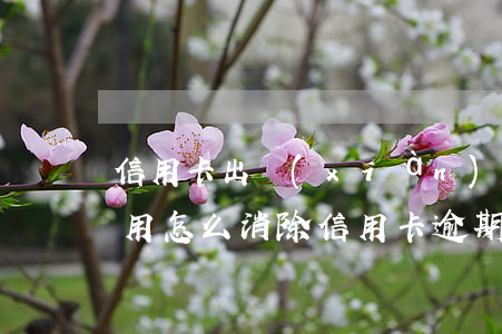 信用卡出現(xiàn)逾期費(fèi)用怎么消除(信用卡 逾期 費(fèi)用)