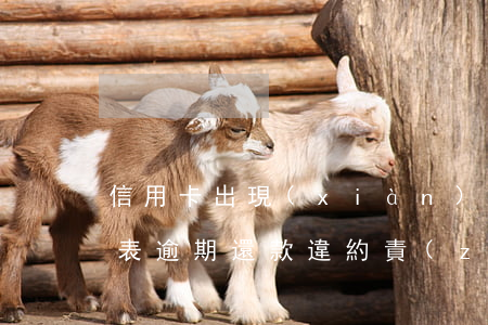 信用卡出現(xiàn)逾期還款違約金代表(逾期還款違約責(zé)任是什么)