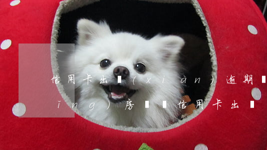信用卡出現(xiàn)逾期還能申請(qǐng)房貸嗎(信用卡出現(xiàn)逾期還能申請(qǐng)房貸嗎怎么辦)