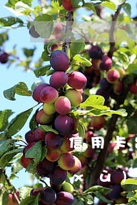 信用卡出現(xiàn)過2次逾期(連續(xù)兩個月信用卡逾期)