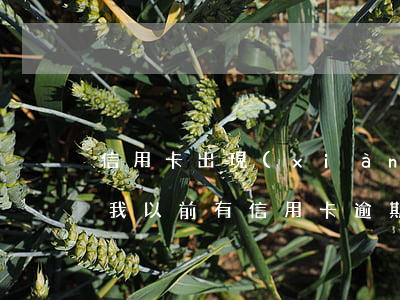 信用卡出現(xiàn)過逾期還能貸款嗎(我以前有信用卡,逾期過還能不能辦理按揭)