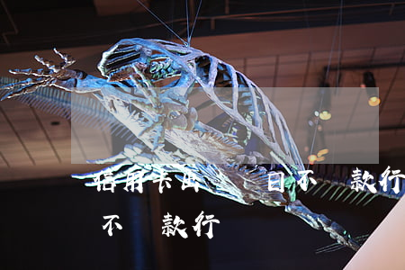 信用卡出賬單日不還款行嗎(信用卡出賬單日不還款行嗎)