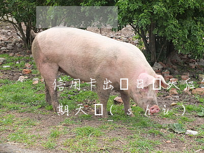 信用卡出賬日幾天后算逾期(各銀行信用卡逾期天數(shù))