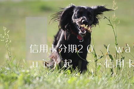 信用卡分期20萬(wàn)還不上會(huì)起訴嗎-信用卡分期20萬(wàn)還不上會(huì)起訴嗎怎么辦